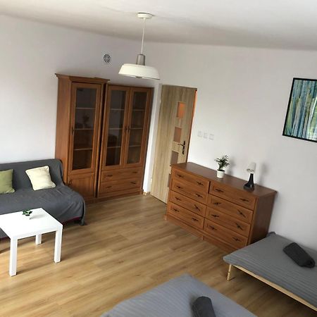 Apartament “Jasny” Nad Wisla Dobrzyków Exterior foto